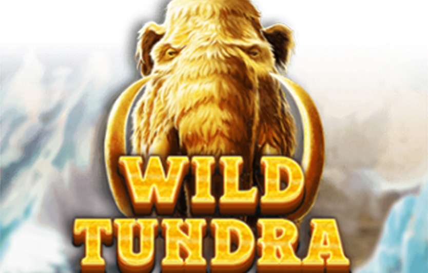 Игровые автоматы Wild Tundra